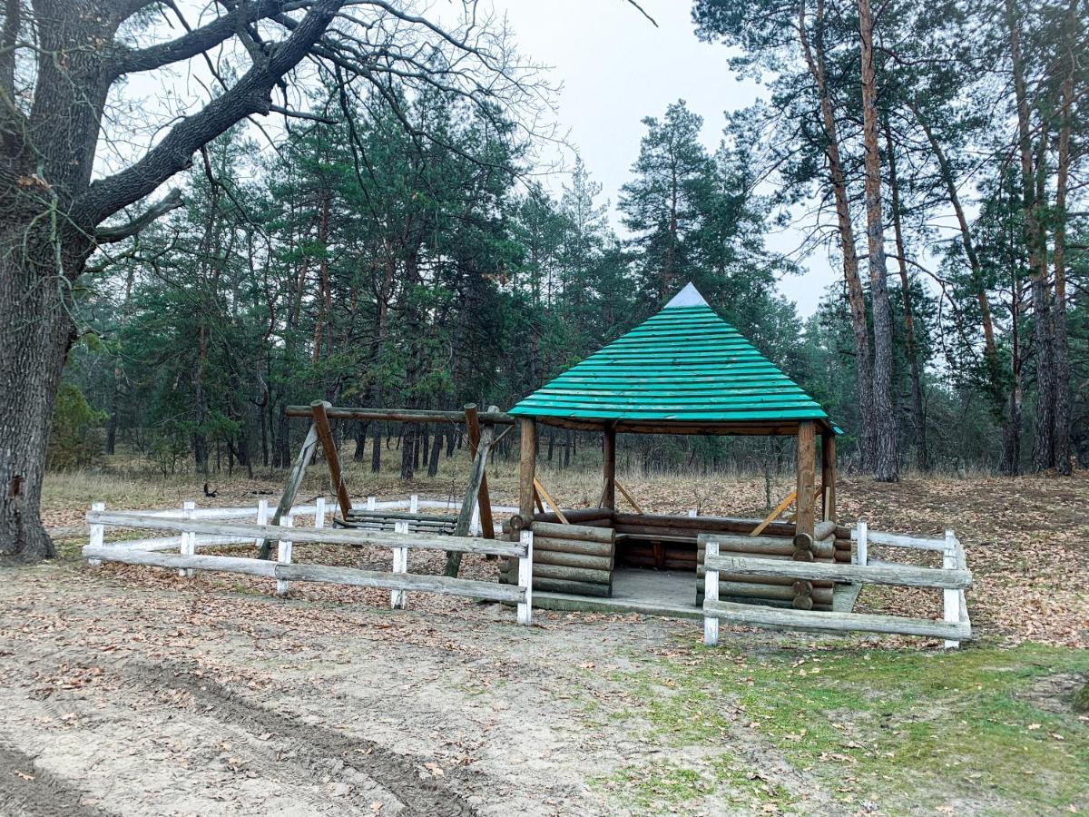Бабусина хатка Leplyavo Экстерьер фото